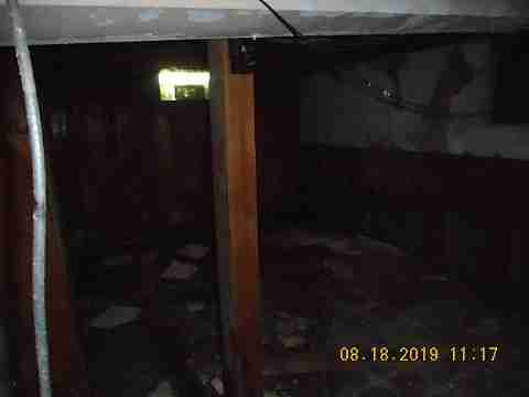 19385 Dresden (12)_m.jpg